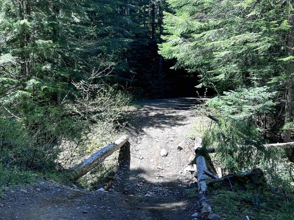 Poch Peak Trail photo 5