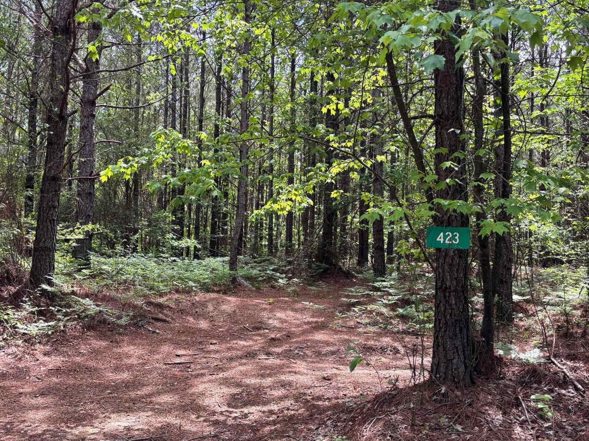 423 trail photo