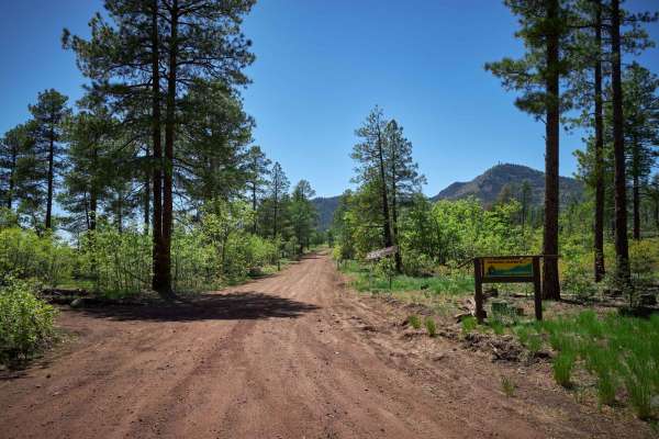 Bill Williams Mountain