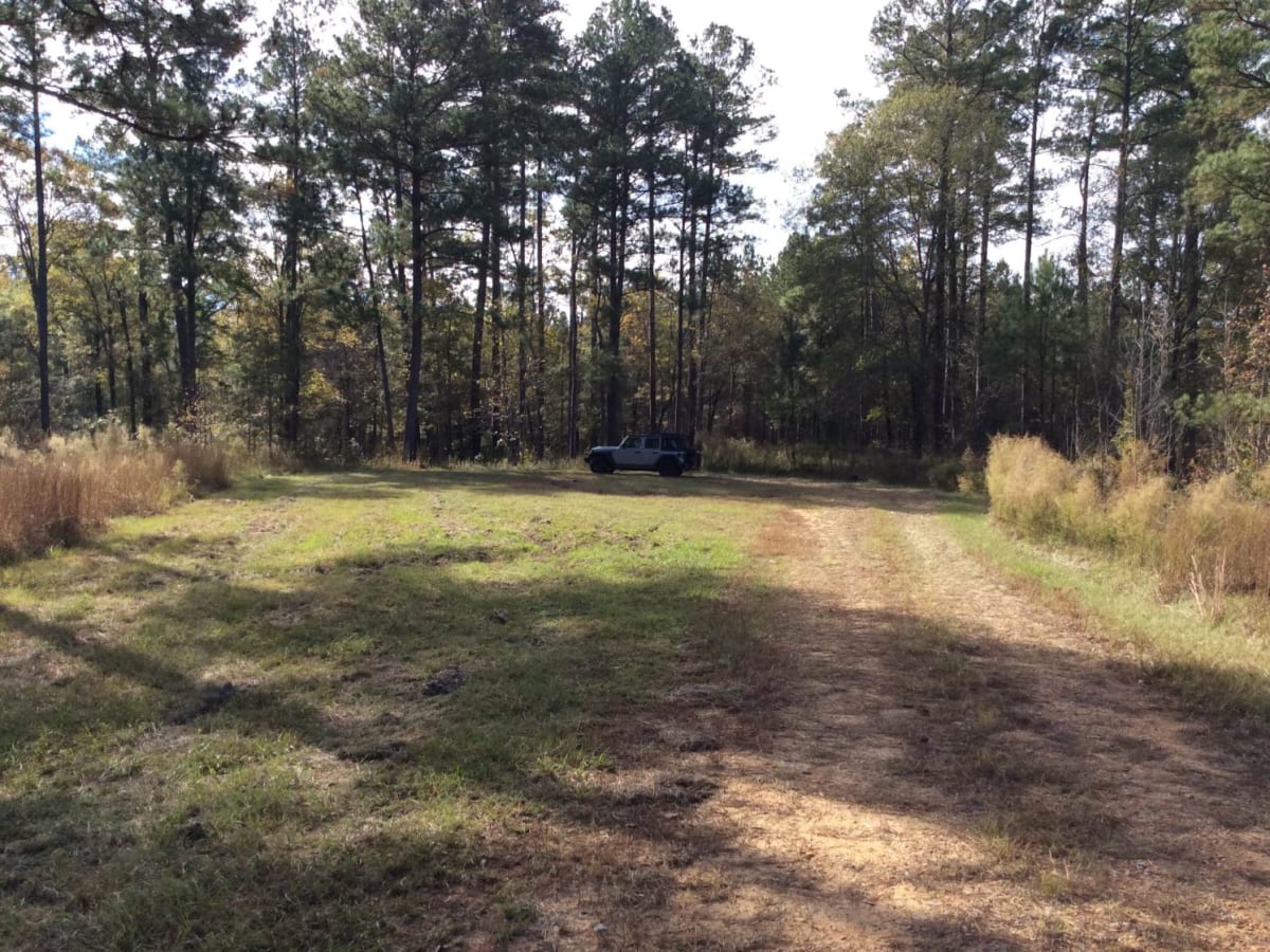 HCNF 103B Cheek Trail photo 2