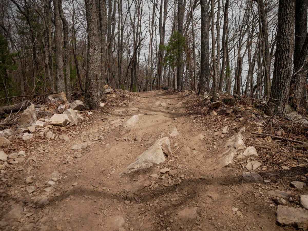 15 trail photo