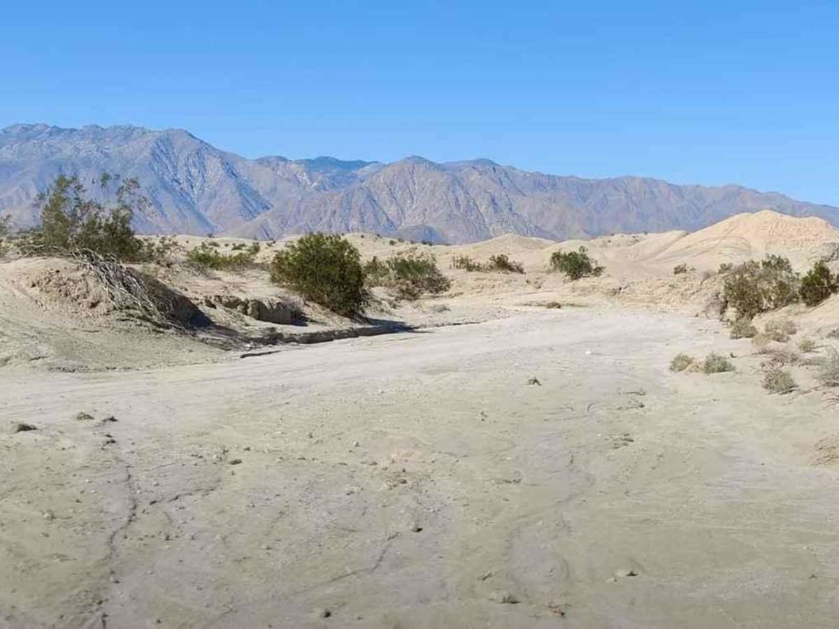 San Felipe Wash trail photo