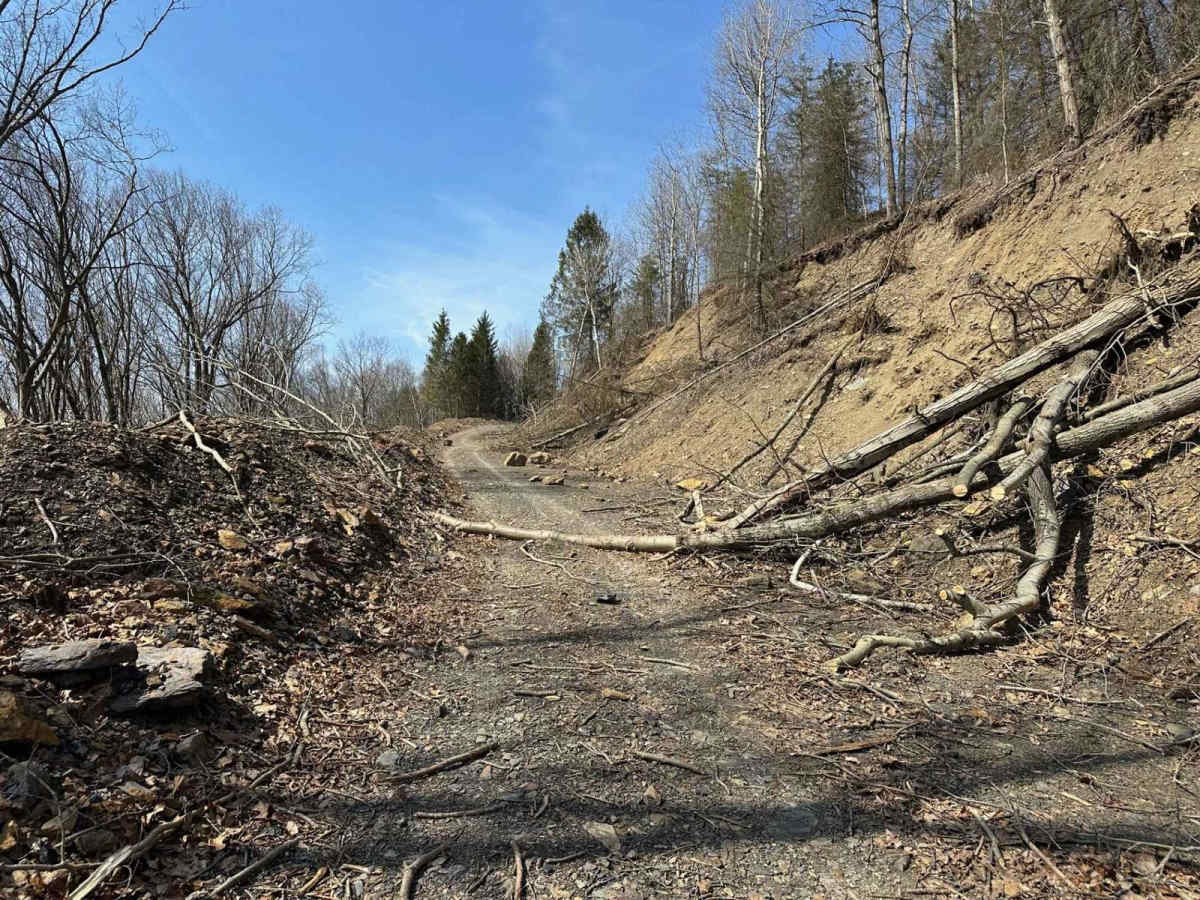 Ashland 108 photo 6