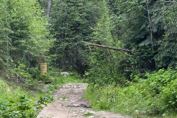 Elinor Lake Trail