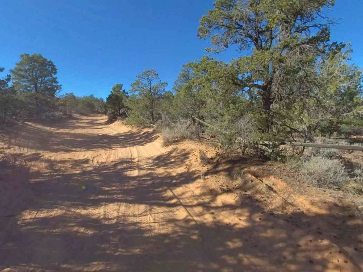 Sand Spring Road (BLM050) photo 4