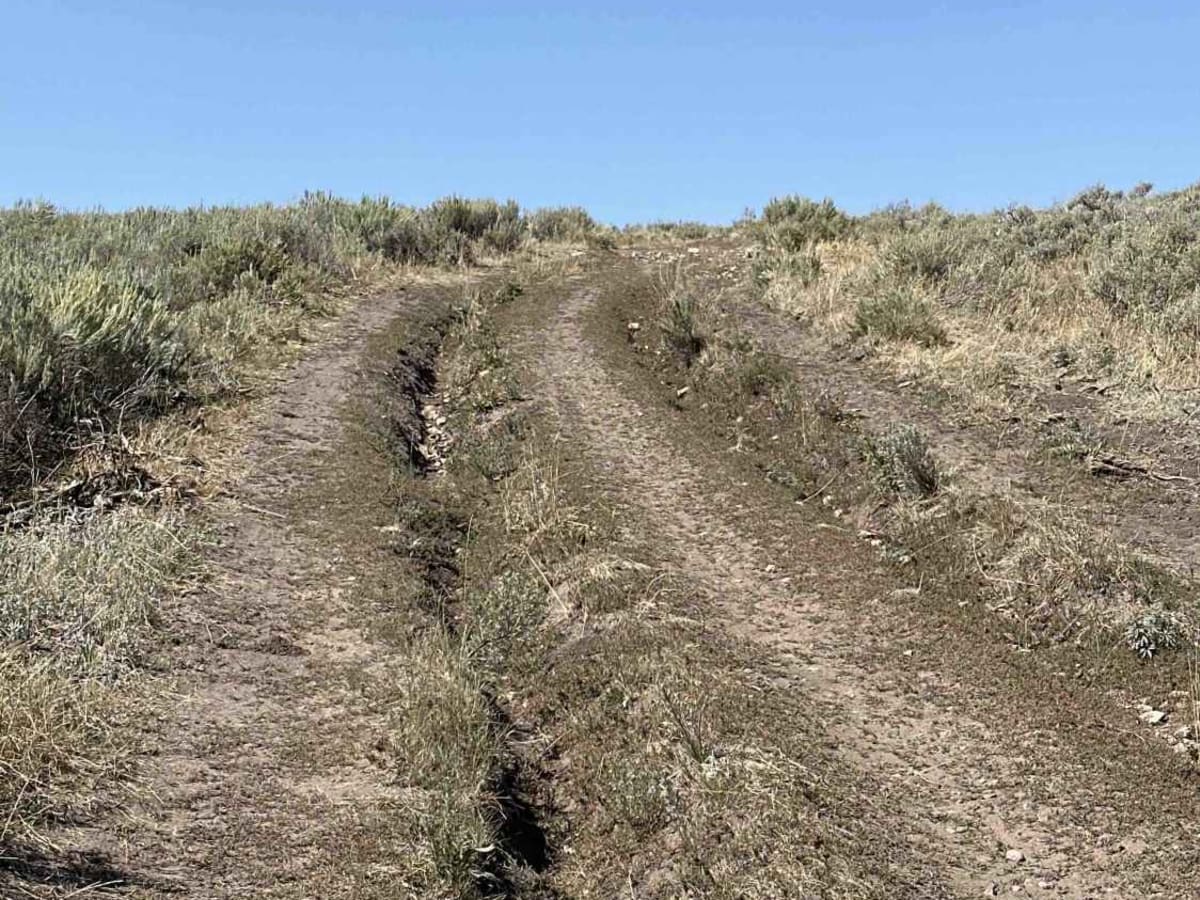 Indian Creek - Cow Camp  photo 6
