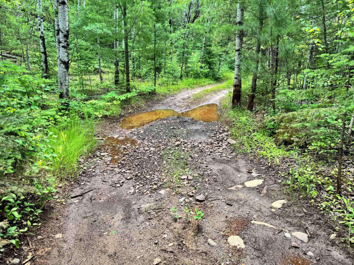 Camper Trail photo 2