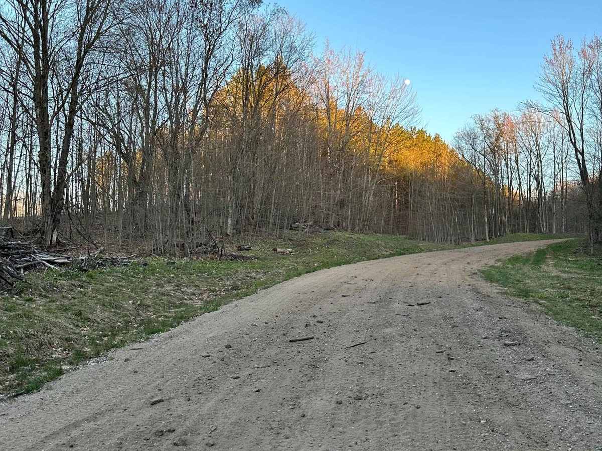 Cadillac Area ORV/OHV Scenic Ride - 7520 photo 4