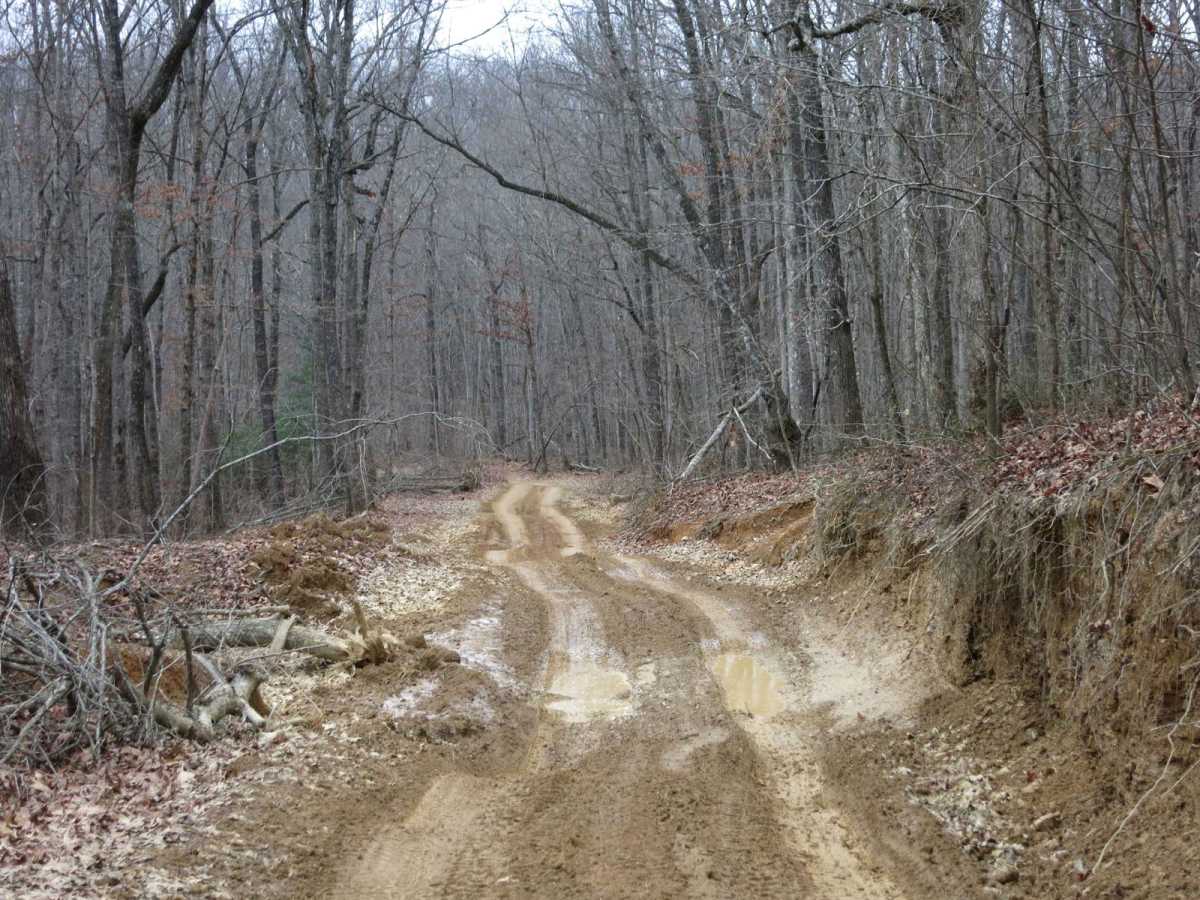 Trail 4 - Short Mountain Road photo 6