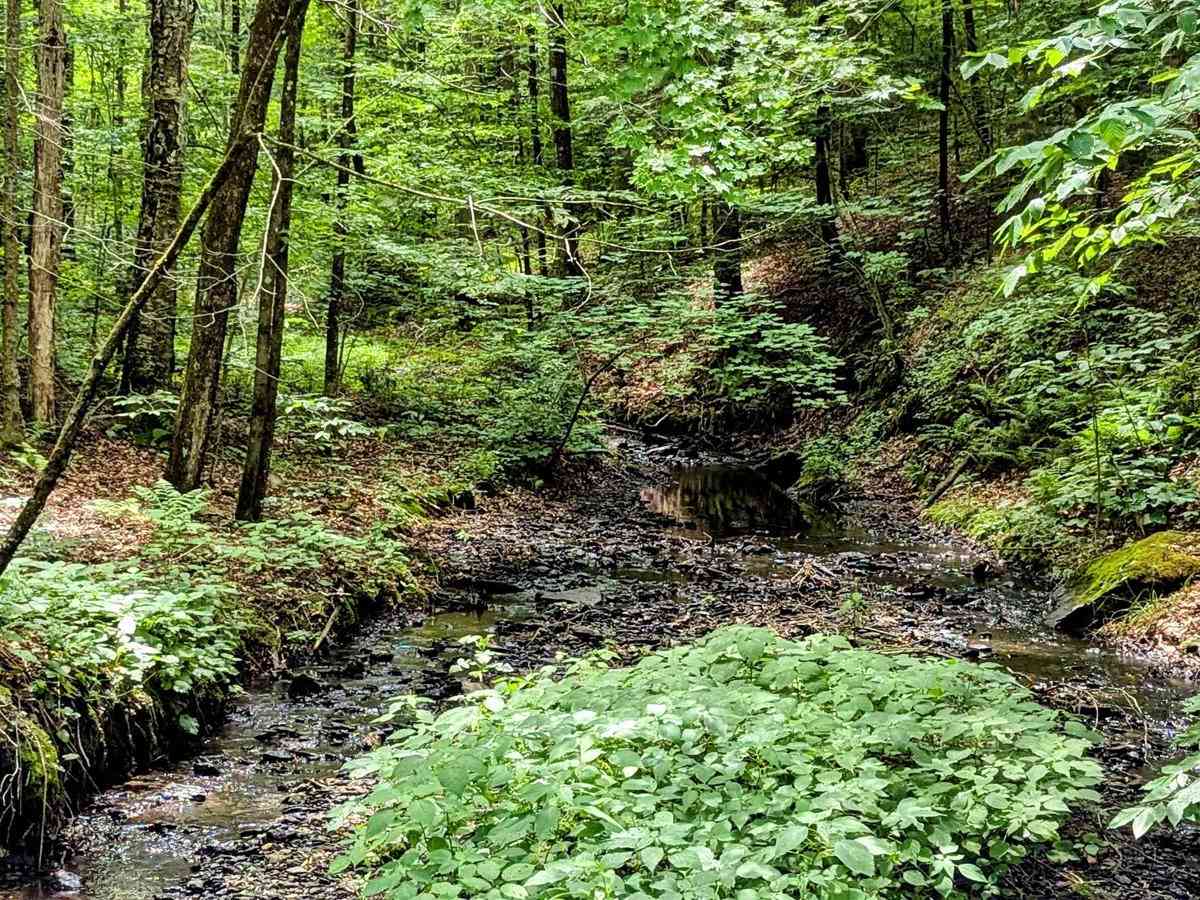 Greylock Road photo 2