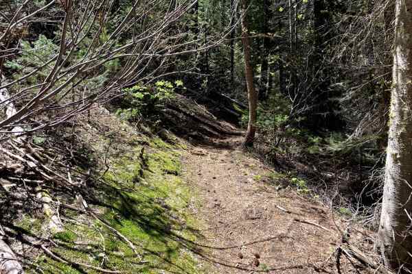 North Fork Deer Creek