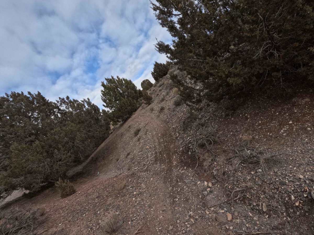 504 trail photo