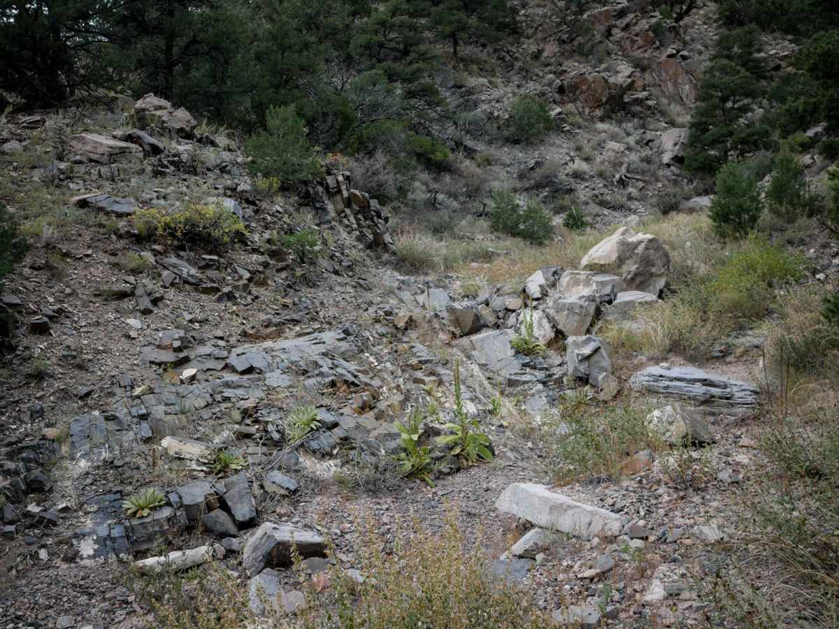 6025 ATV trail photo