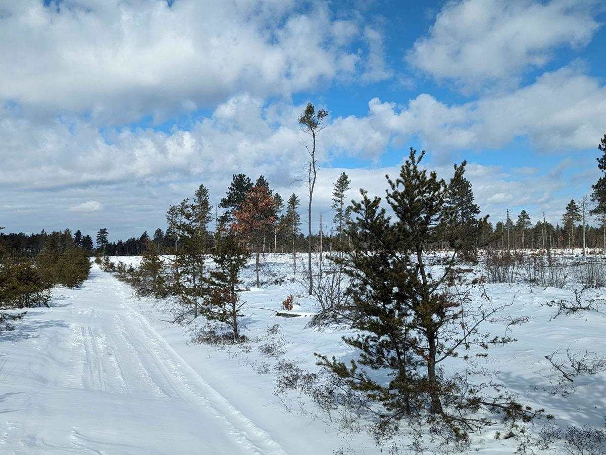Cemetery Trail (Pere Cheney Ghost Town) photo 2