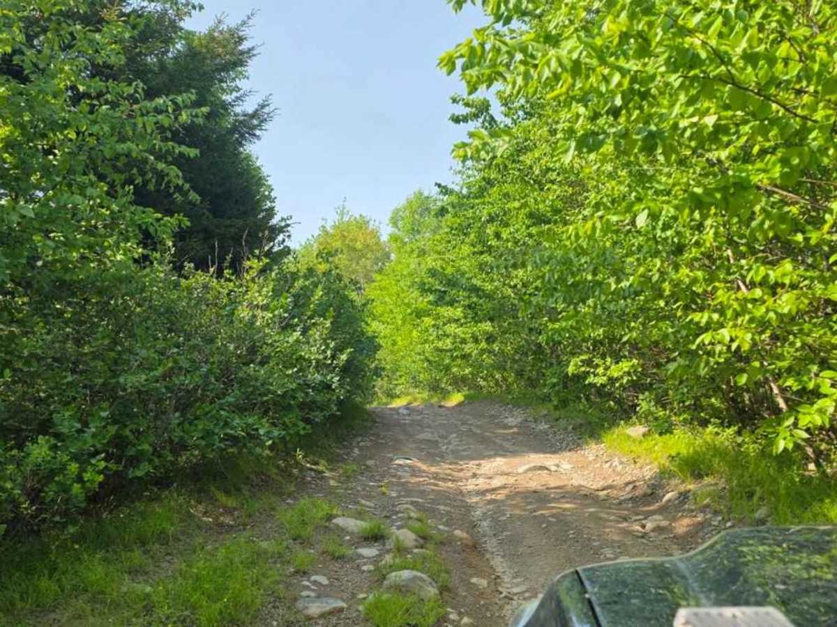 5 K trail photo