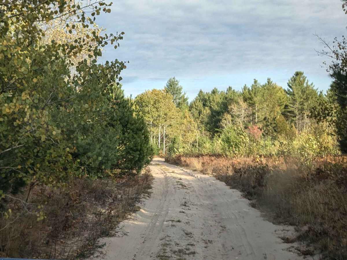 Camp 9 Road photo 3