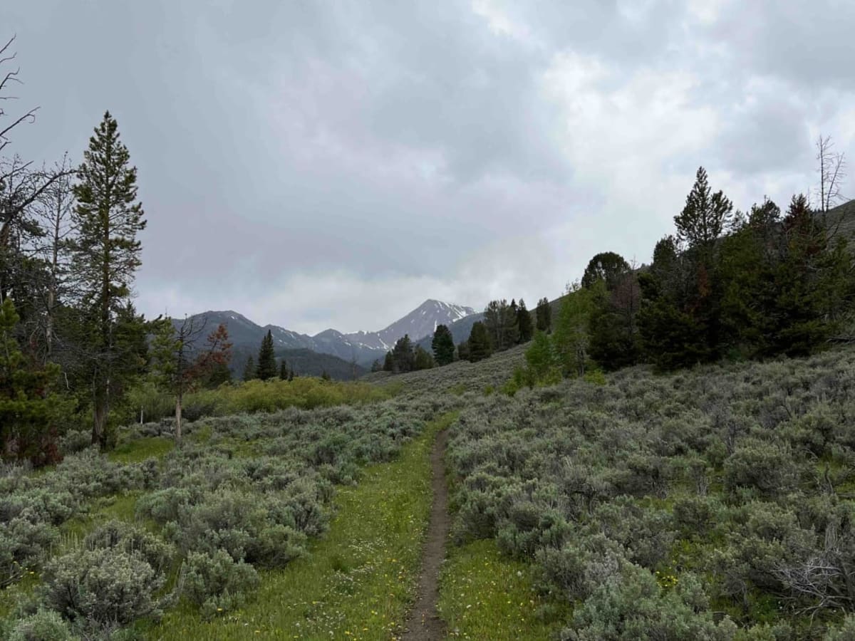 Big Timber Creek trail photo