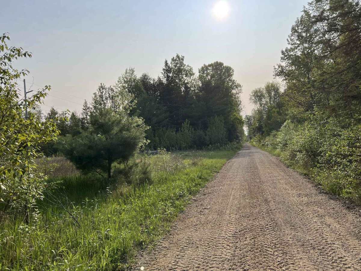 Felch OHV Grade Trail A photo 2
