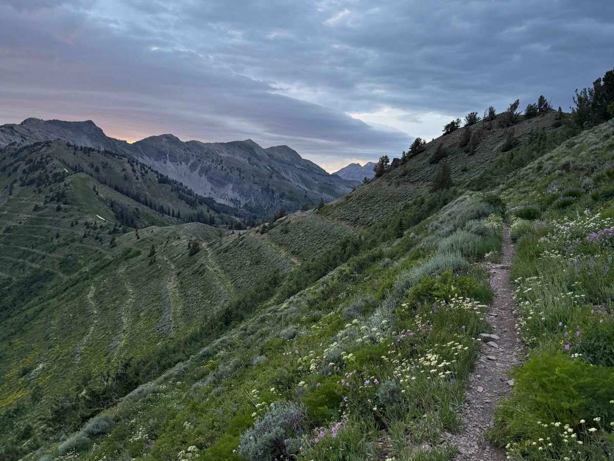 Rock Canyon - Dry Fork photo 6