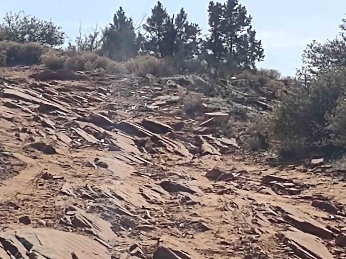Leeds-Cottonwood Spur photo 5