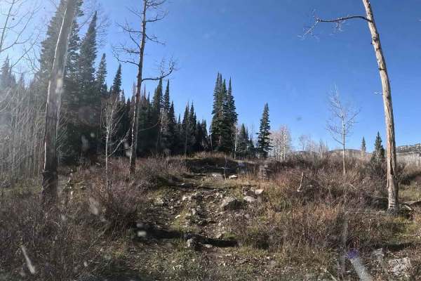FS 51303 Six Mile Lower Pond Trail