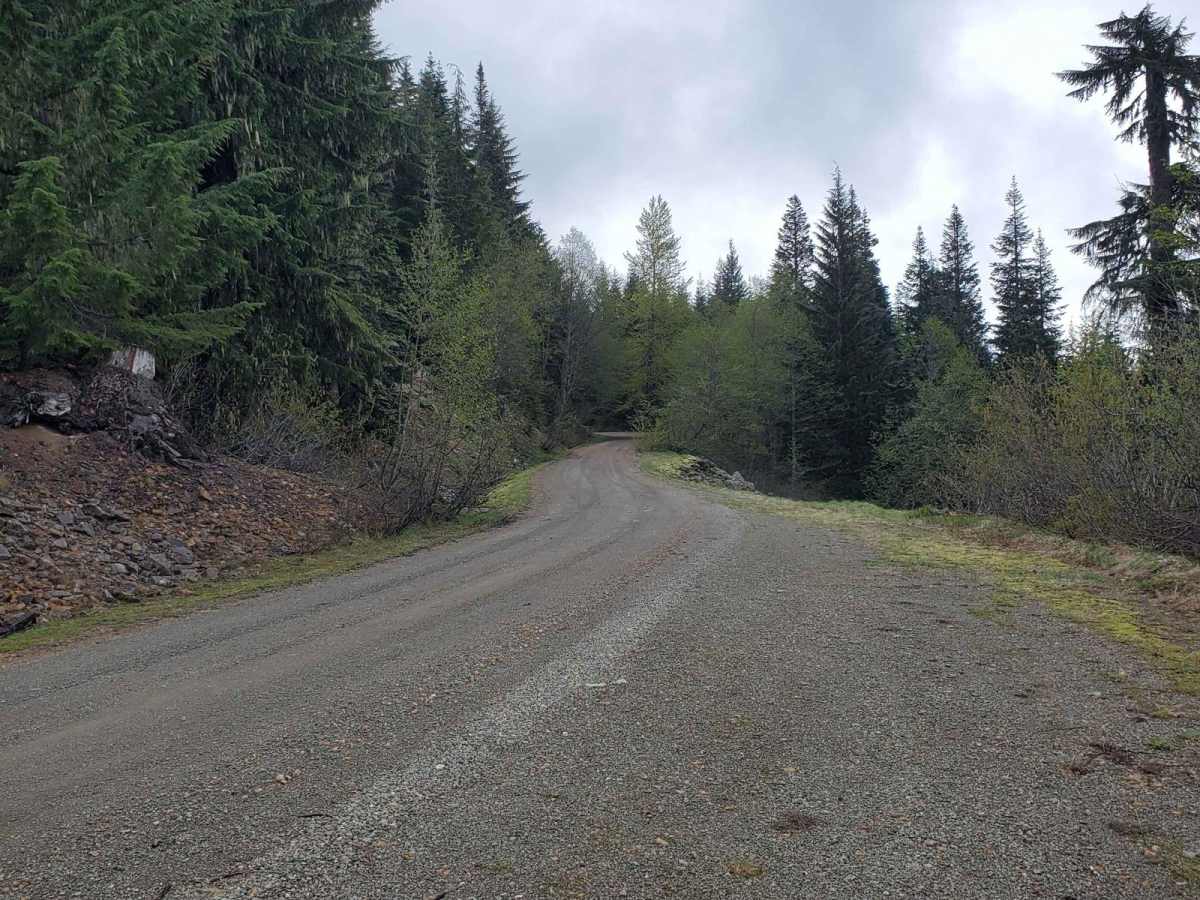 Davis Creek Trail photo 3