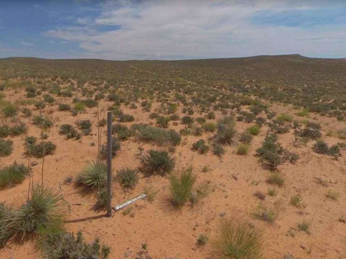 BLM13476 photo 2