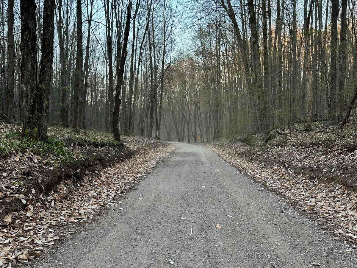 Cadillac Area ORV/OHV Scenic Ride - 7520 photo 3