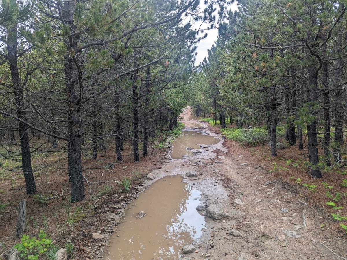 Benbow Jeep Trail photo 5