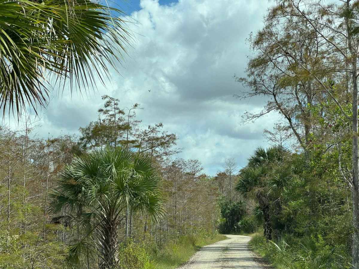 Bear Island Road photo 6