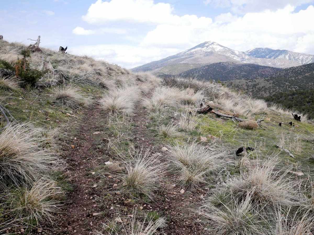 327 trail photo