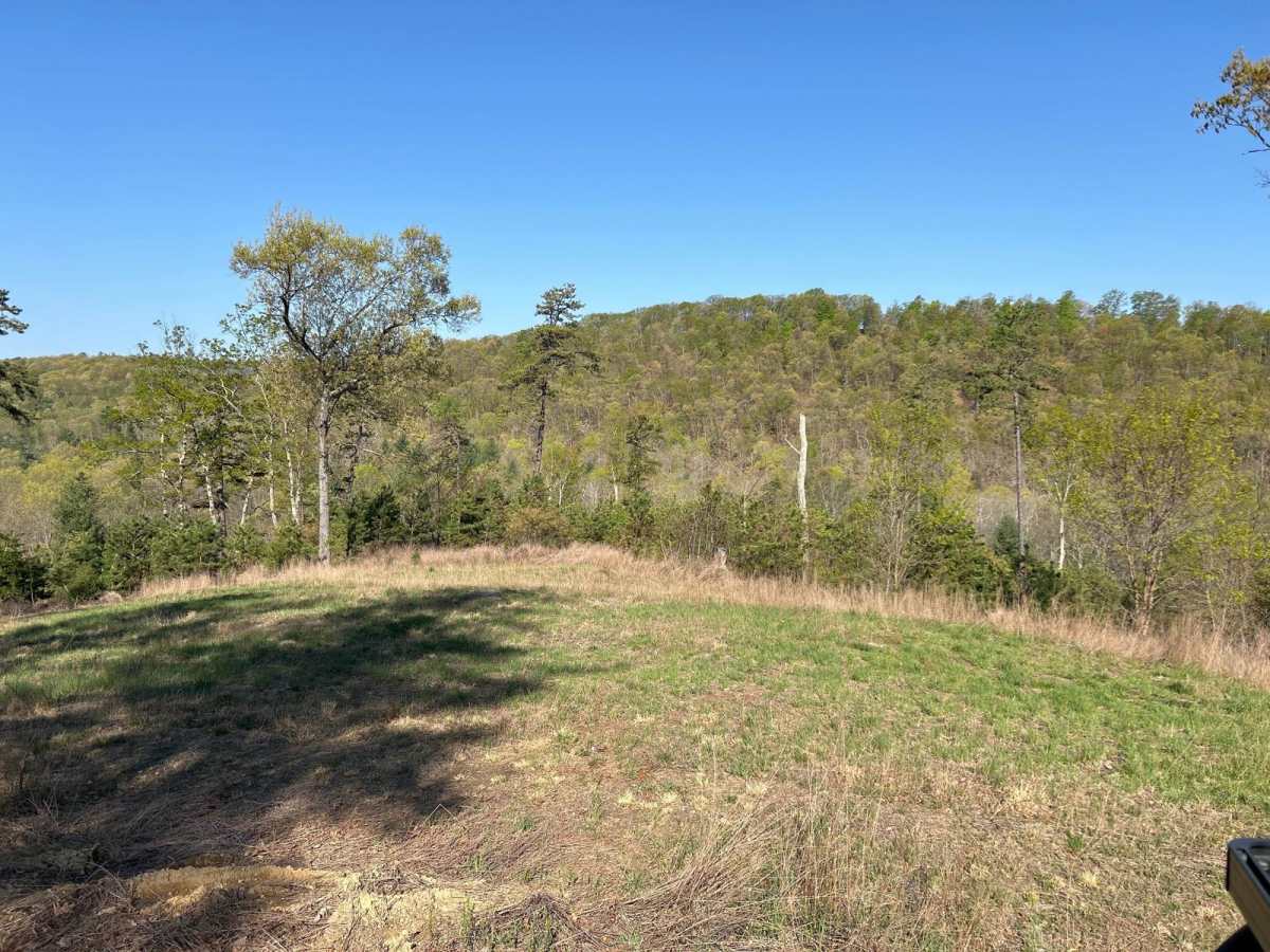Squirrel Gap Road photo 5