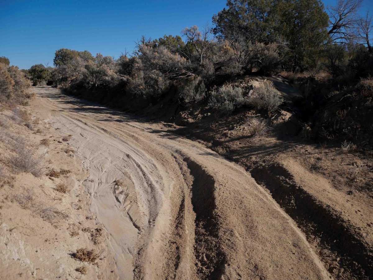 Sand Wash ATV photo 2