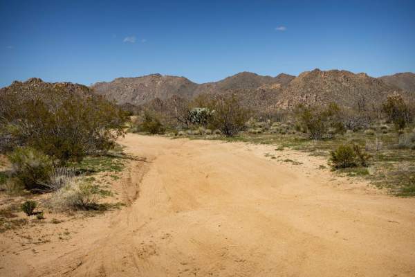 Charlie's Loop