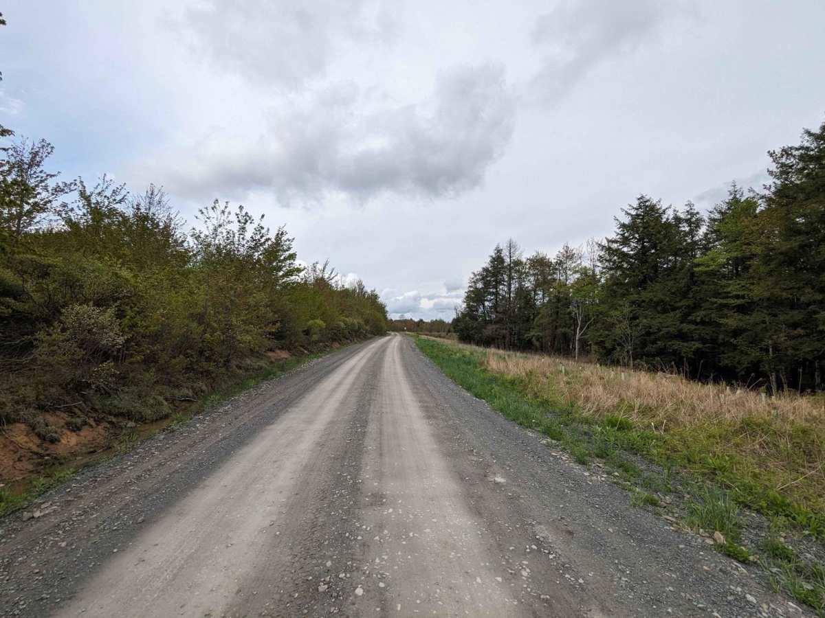 CCC Road photo 6