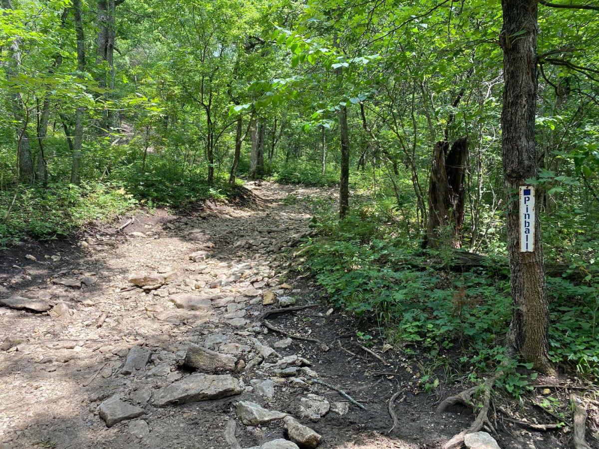 Pinball trail photo