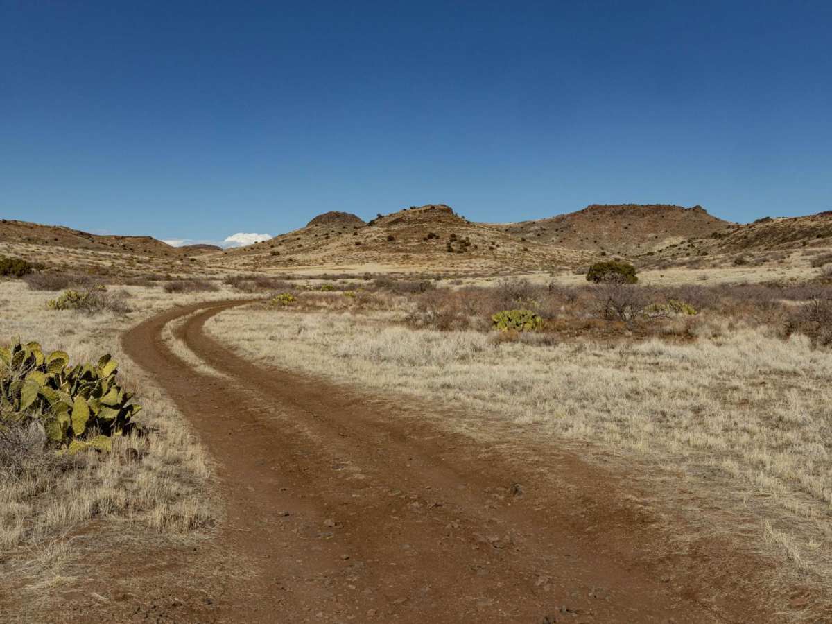 9709P trail photo