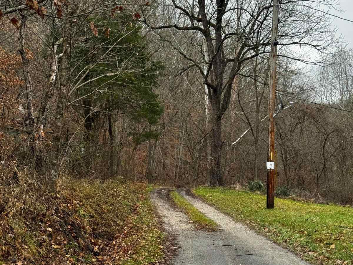 Johnson Hollow photo 2