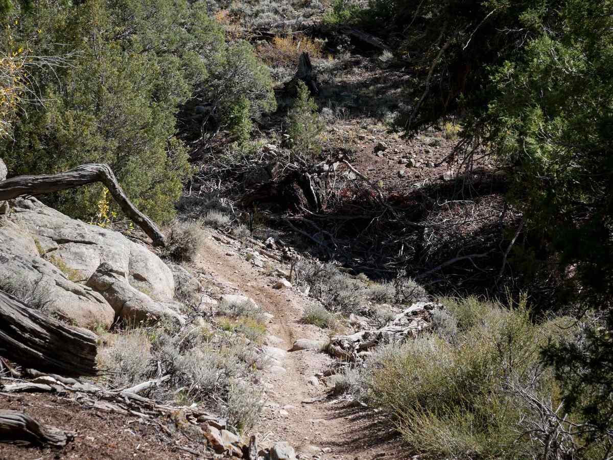 Skull Pass photo 6