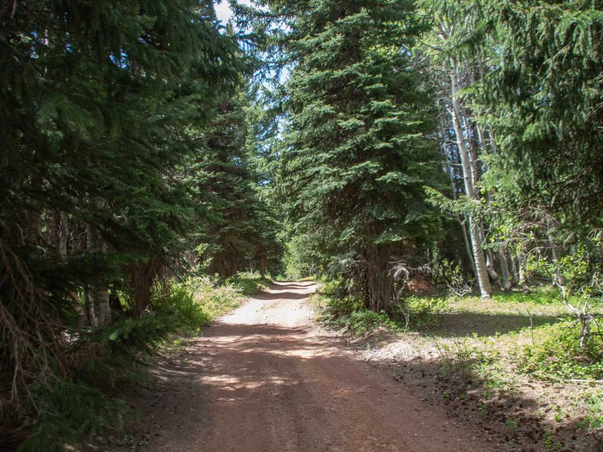 Running Water Spring Road photo 3