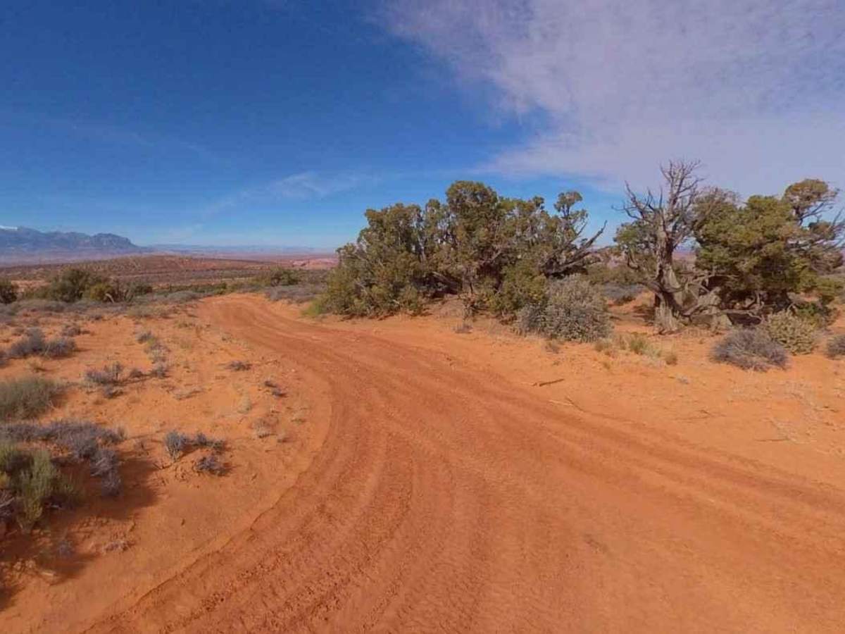 North Turkey Knob - BLM15210 photo 3