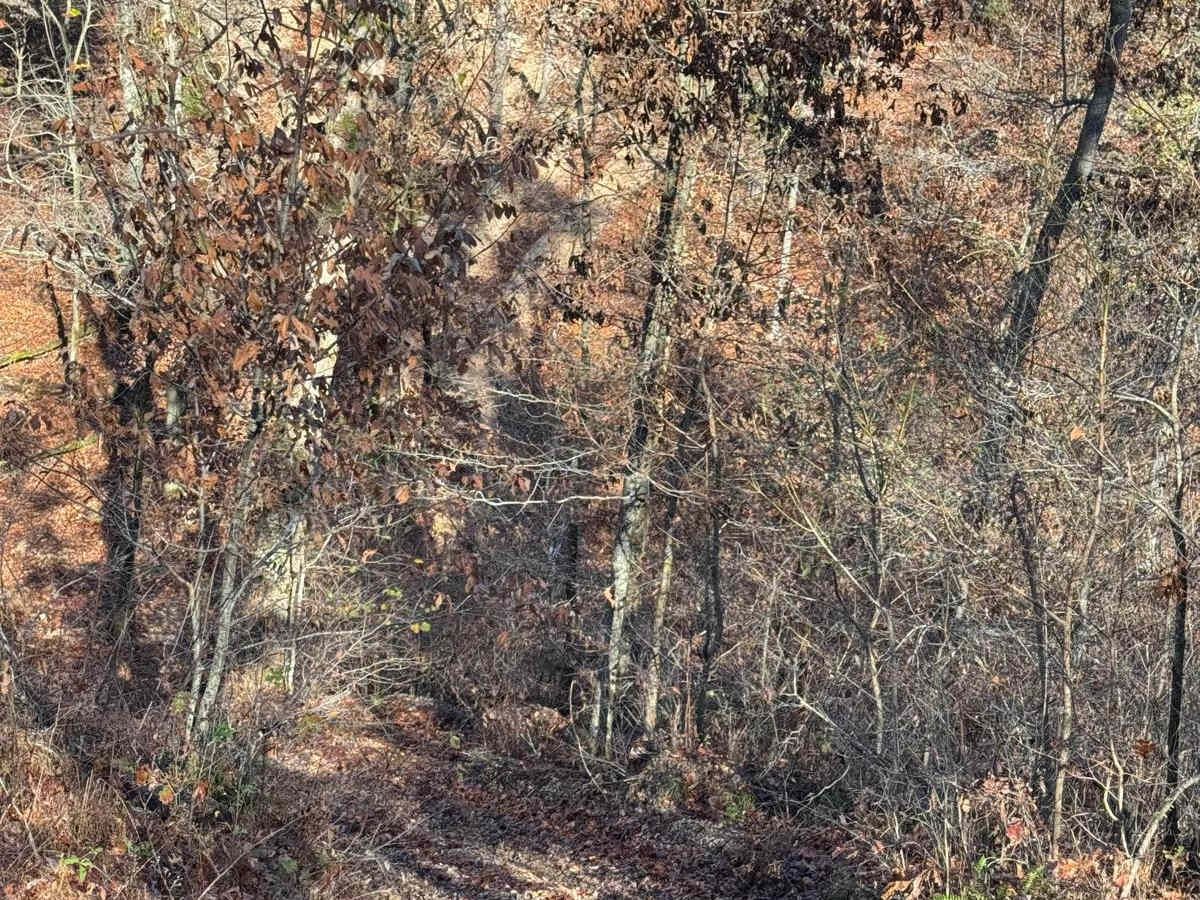 Yellow 126 photo 2