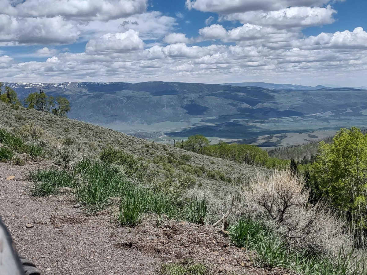 Cove Mountain Road (FS# 40068) trail photo