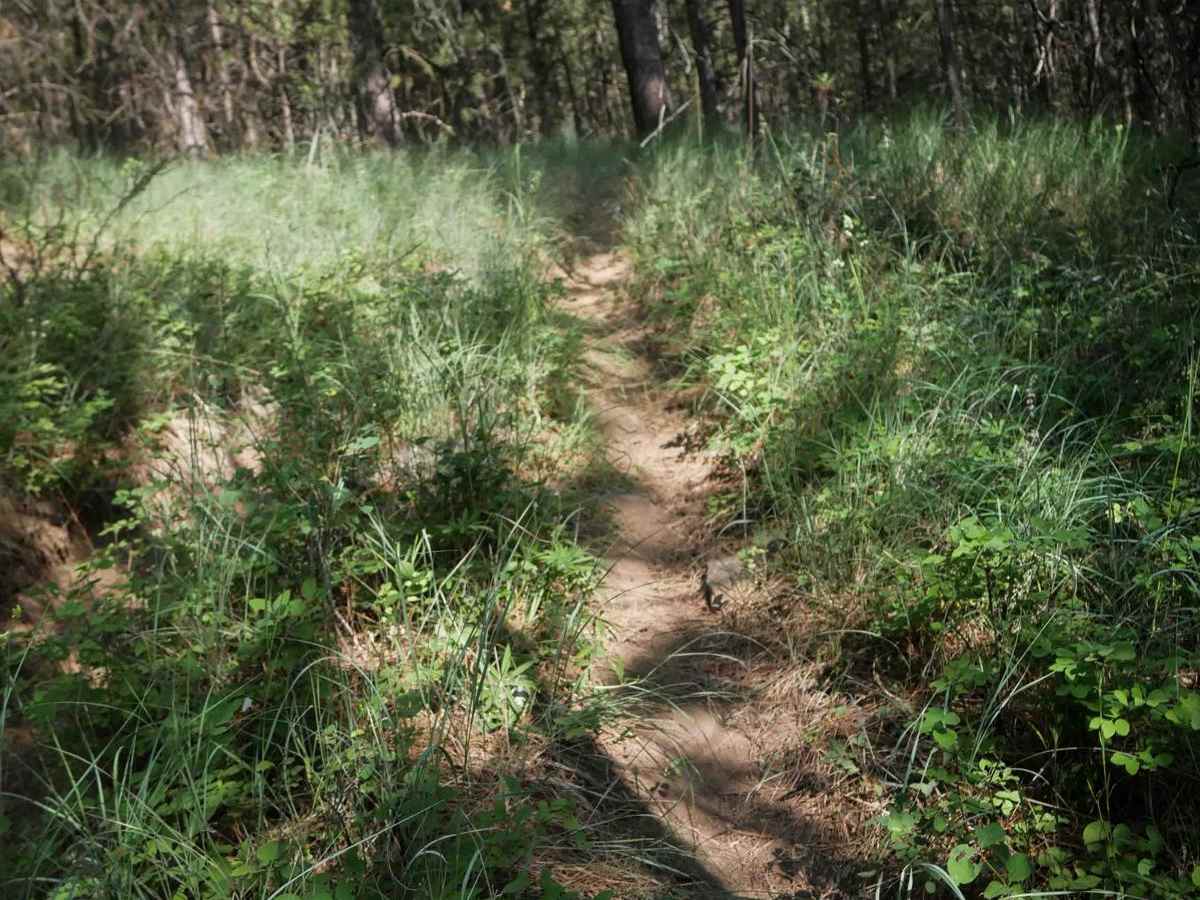 Trough Line photo 3