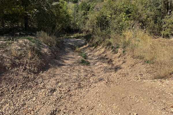 Creek Bed 12
