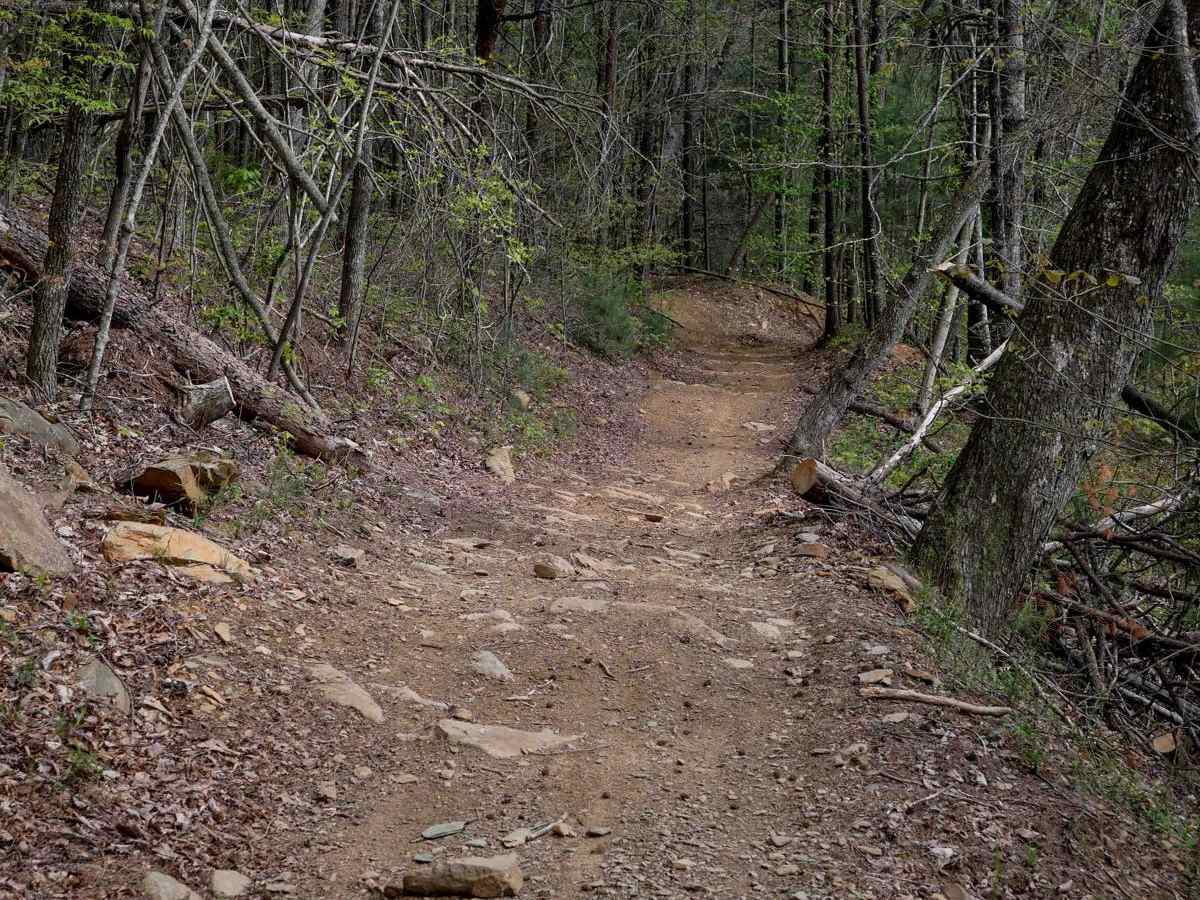 Milma Creek photo 5