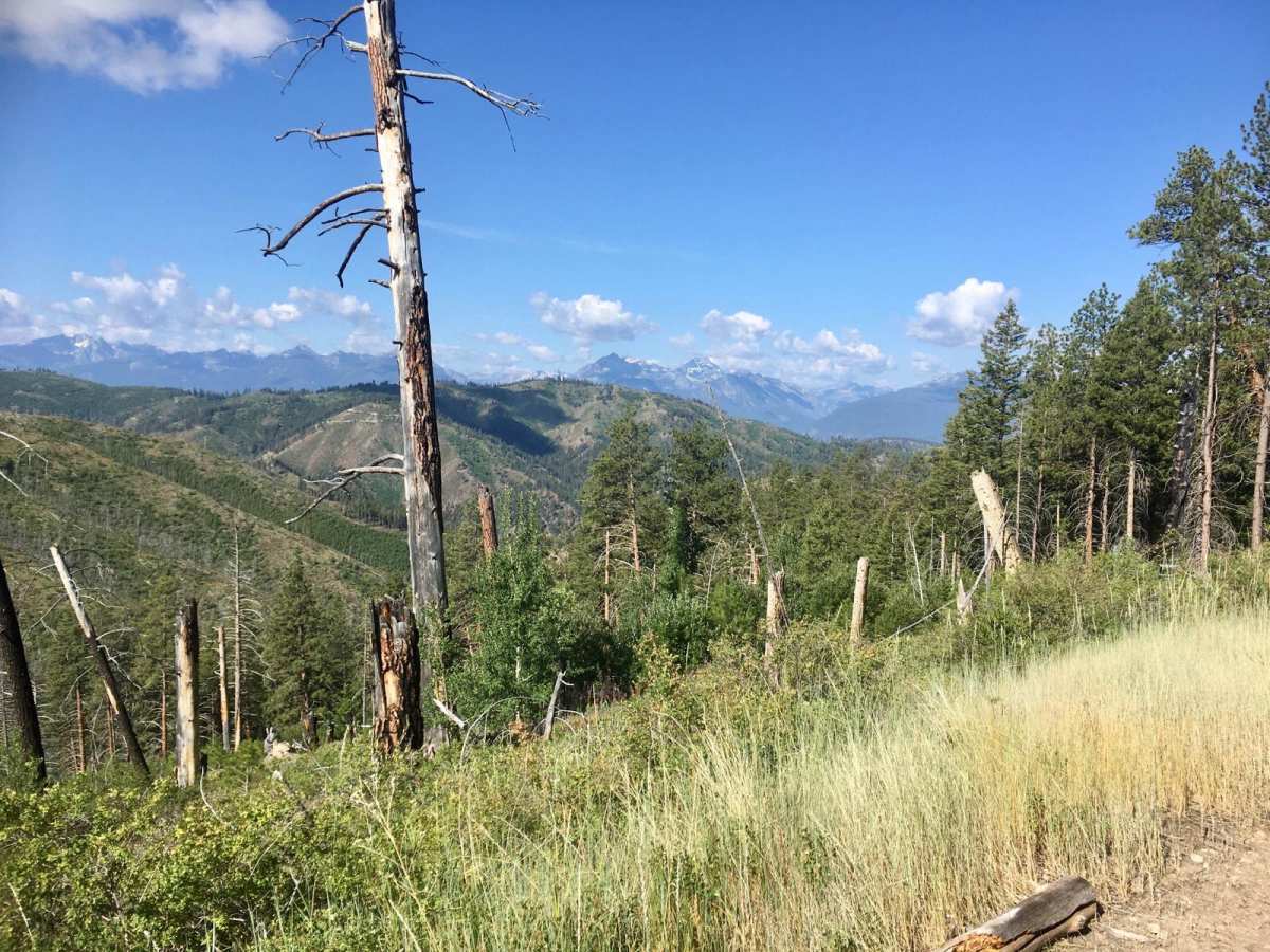 Blacktail Point Road photo 6