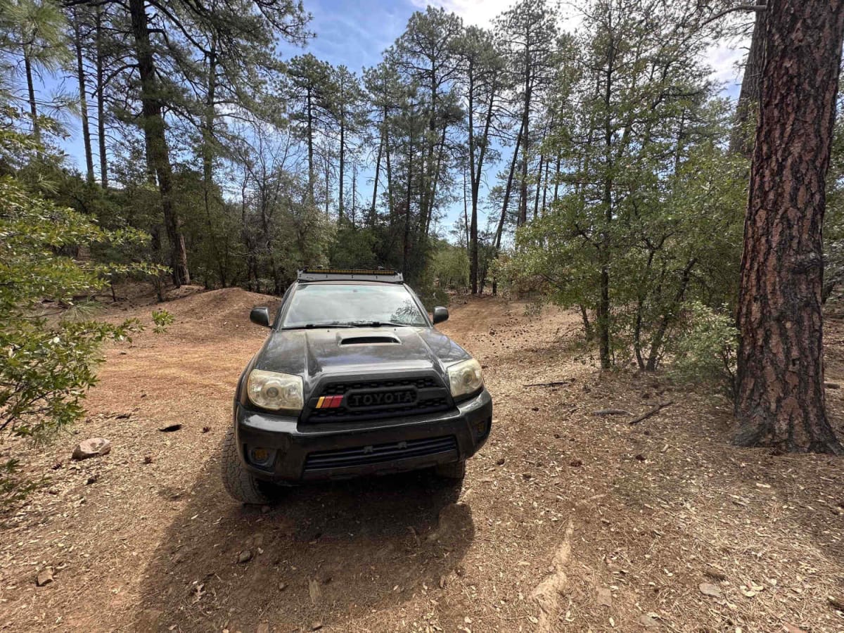 Dupont Cabin trail photo