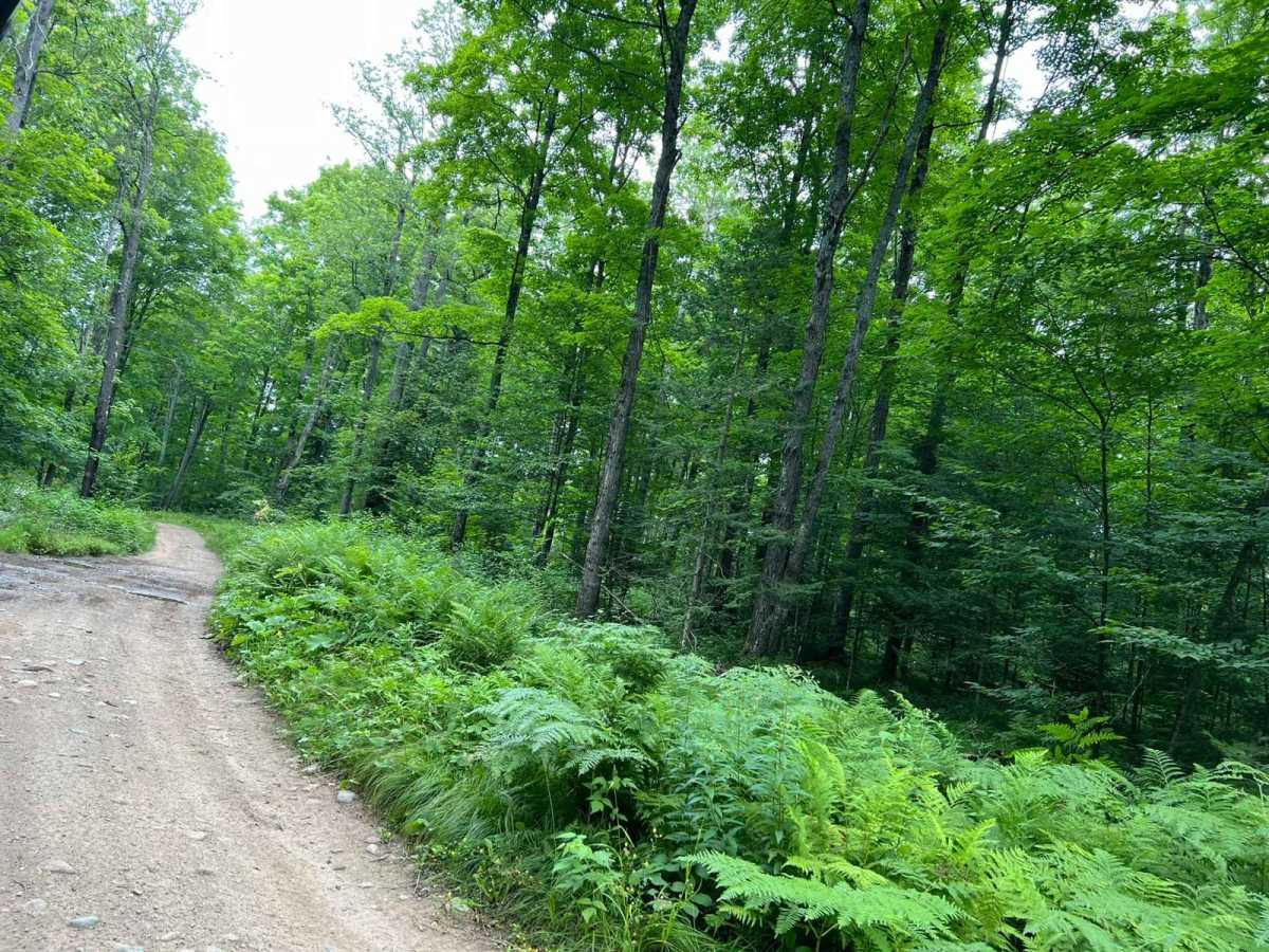 Jim Hausinger Memorial Trail photo 4