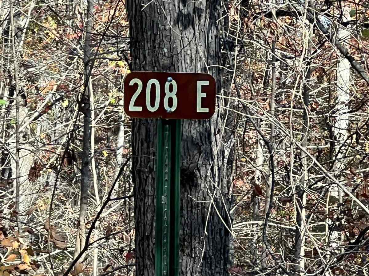 FS 208EA 2 trail photo